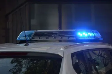 Nowy Sącz ma dziewięć policyjnych psów. Policja traktuje je jak funkcjonariuszy